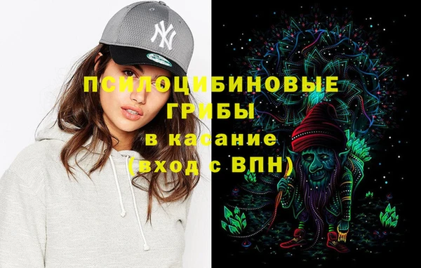 МДПВ Богданович
