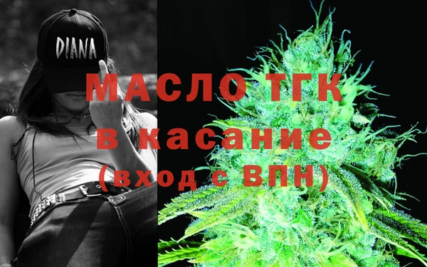 хмурый Тавда