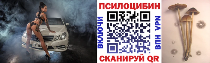 Псилоцибиновые грибы мухоморы МЕГА ONION Троицк
